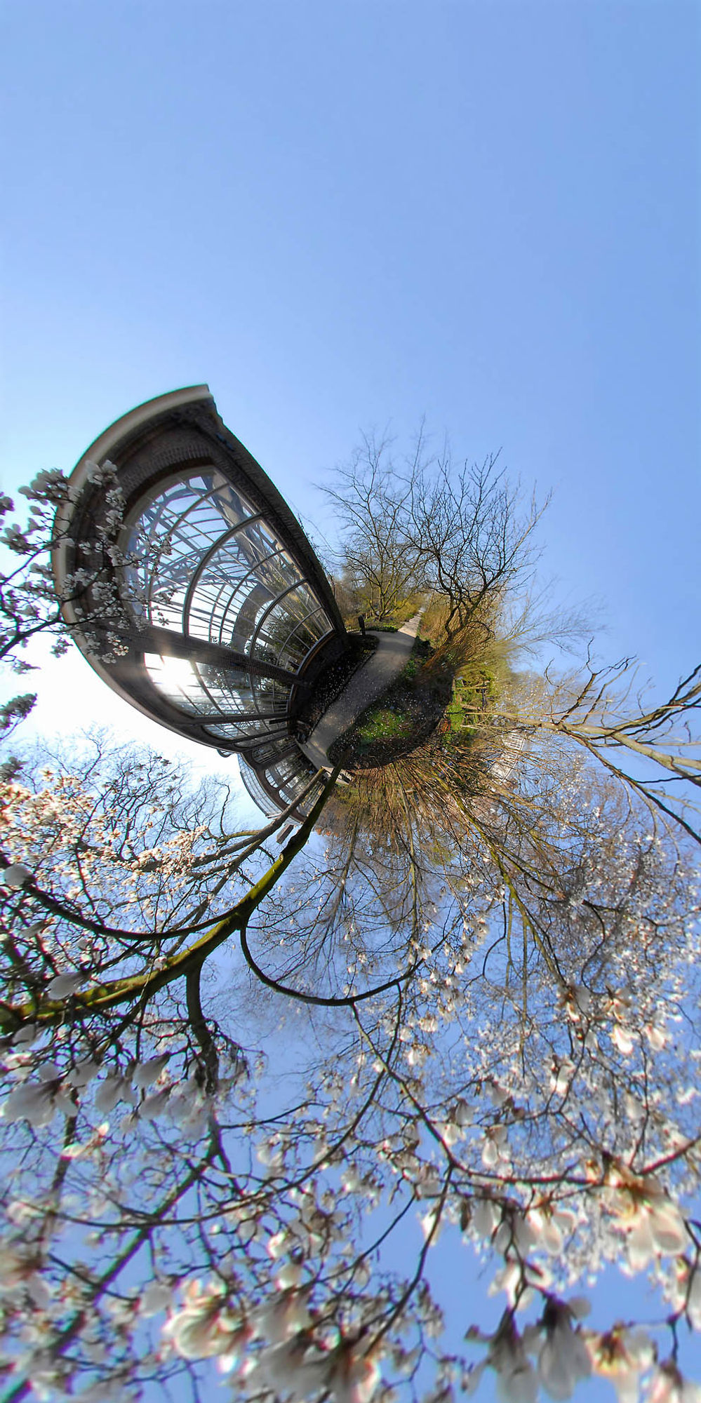 Hortus palmenkas