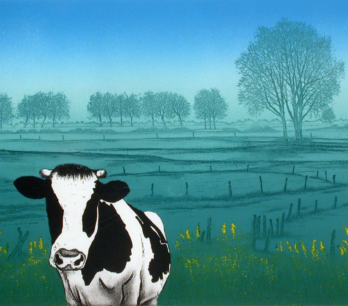 Koeien in polderland