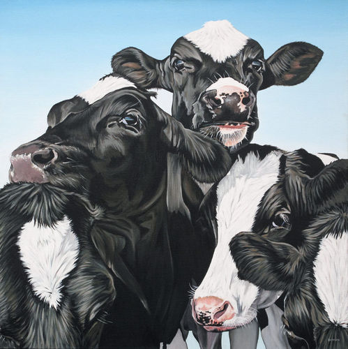 Vijf koeien