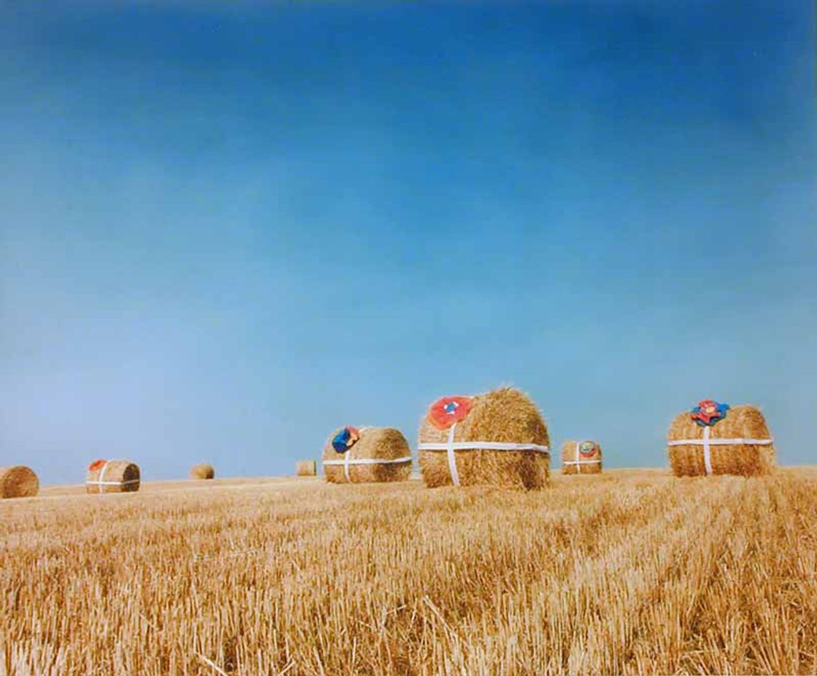 Present of the field