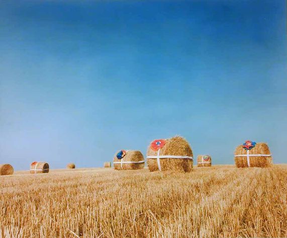 Present of the field