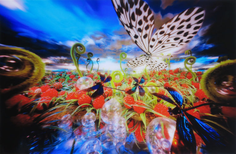 Libelleframbozenveld