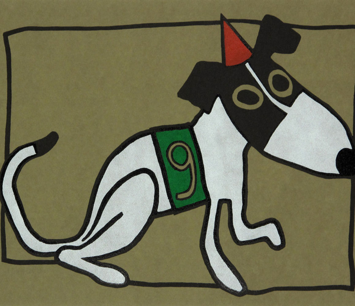 Racehond nummer 9