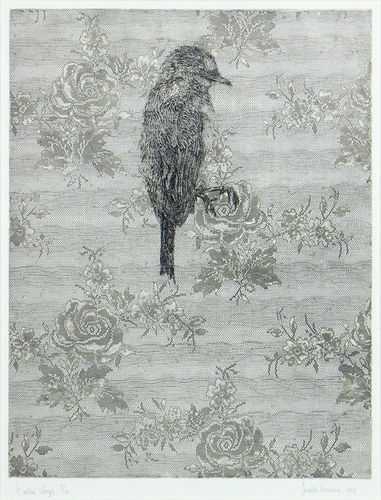 Kanten vogel