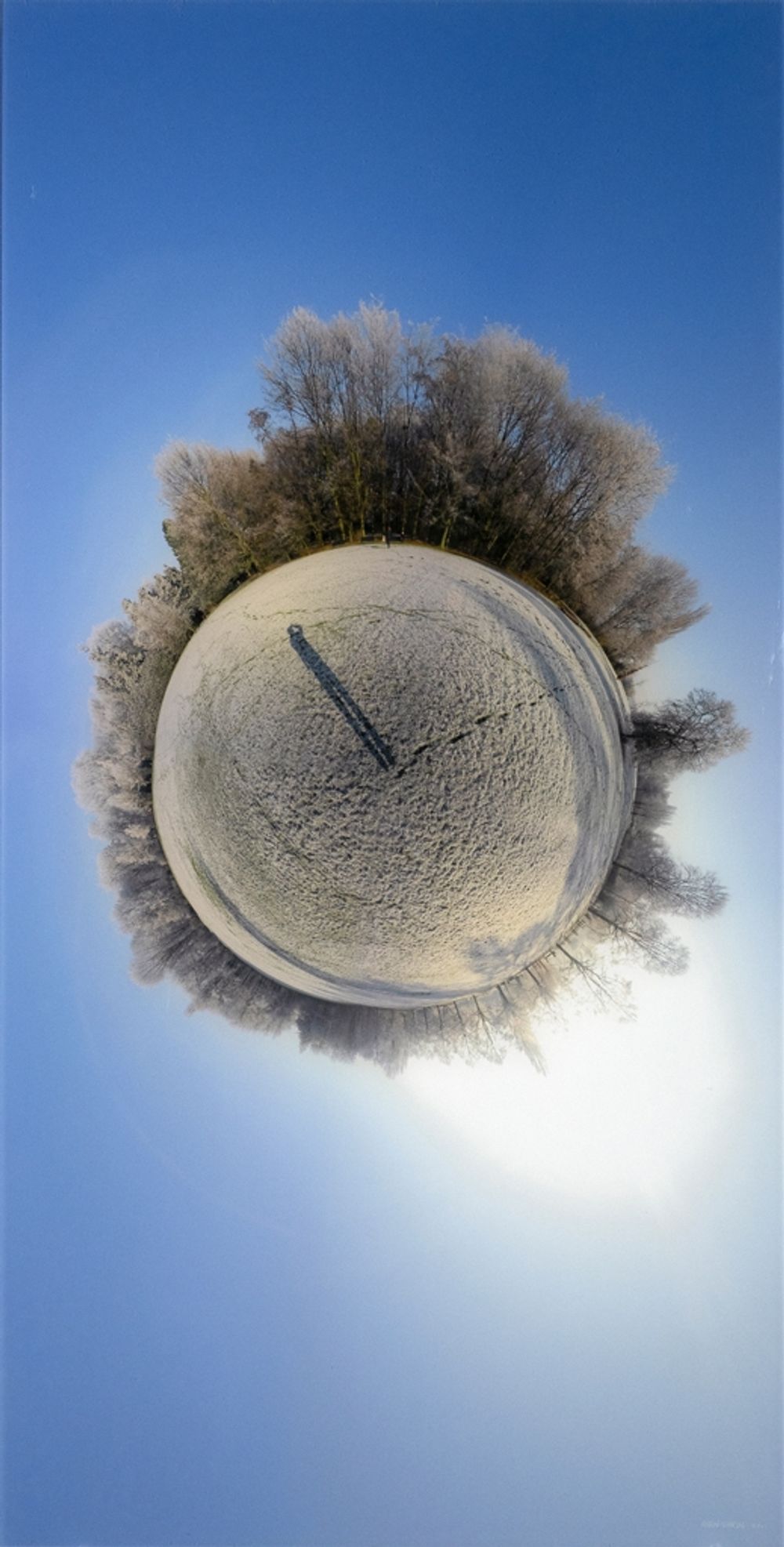 Voetstappen in de rijp