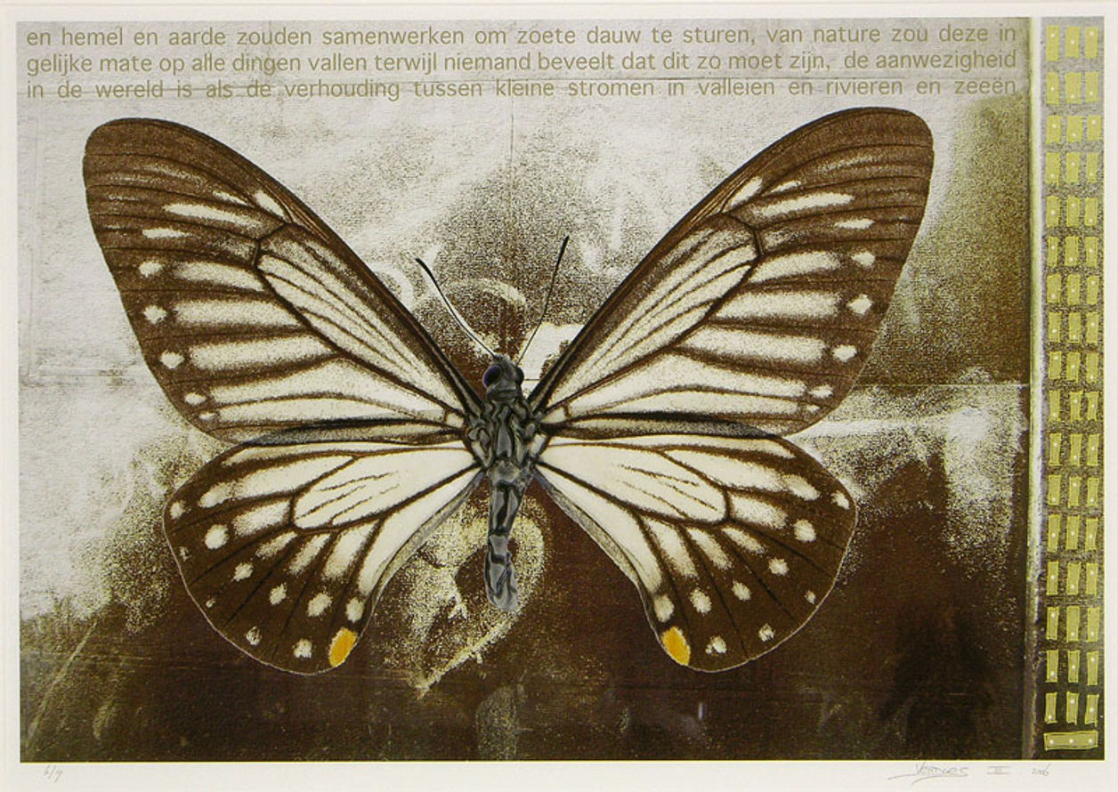 Vlinder V