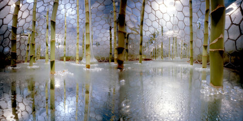 Pano koepel