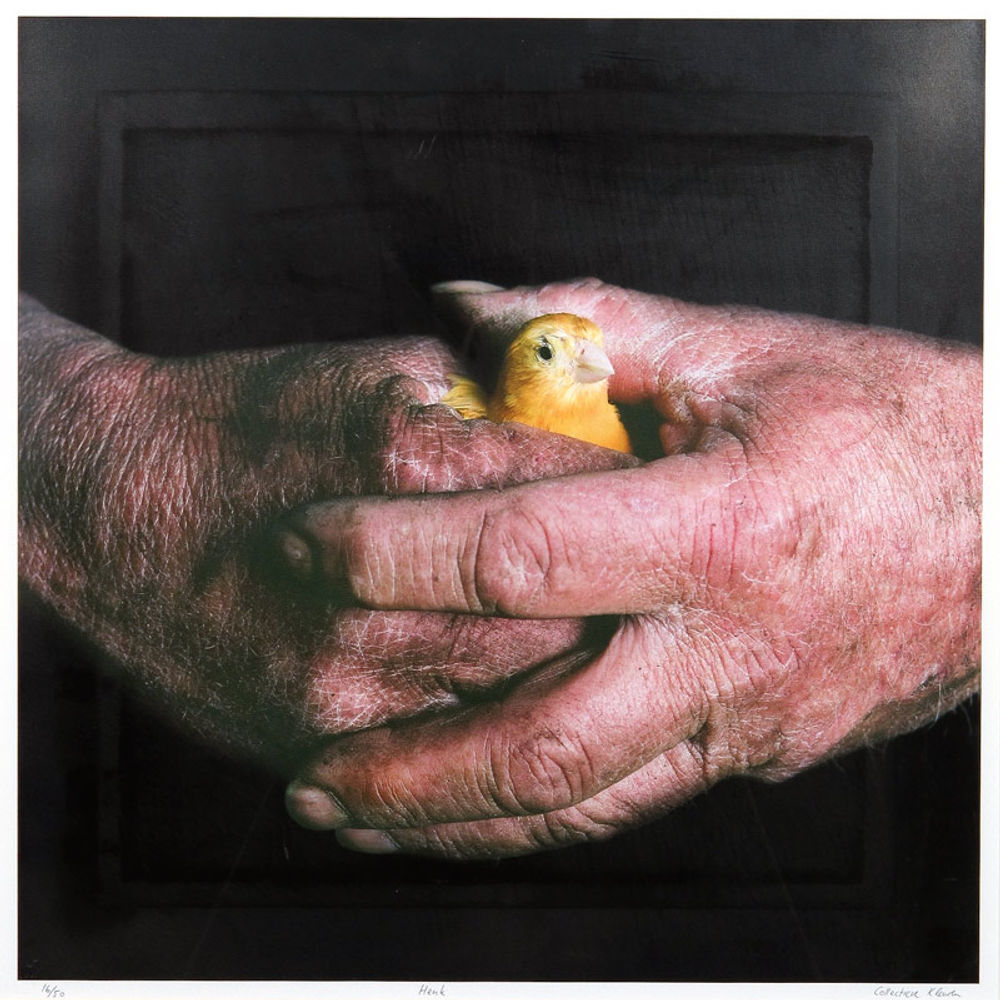 Henk