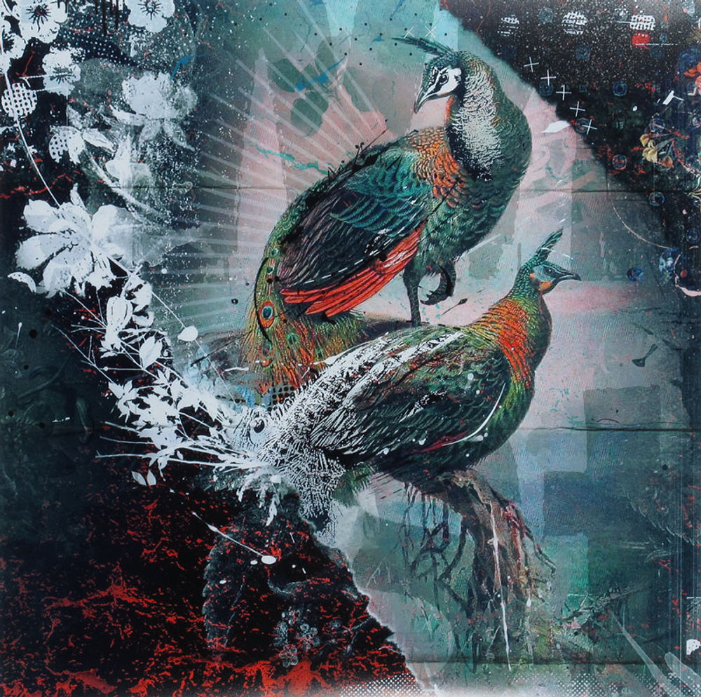 Peacock party