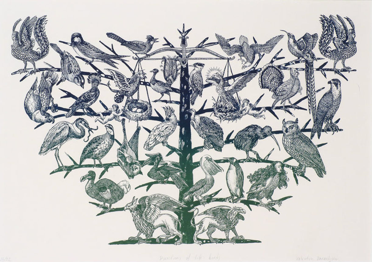 Directions of Life - Birds