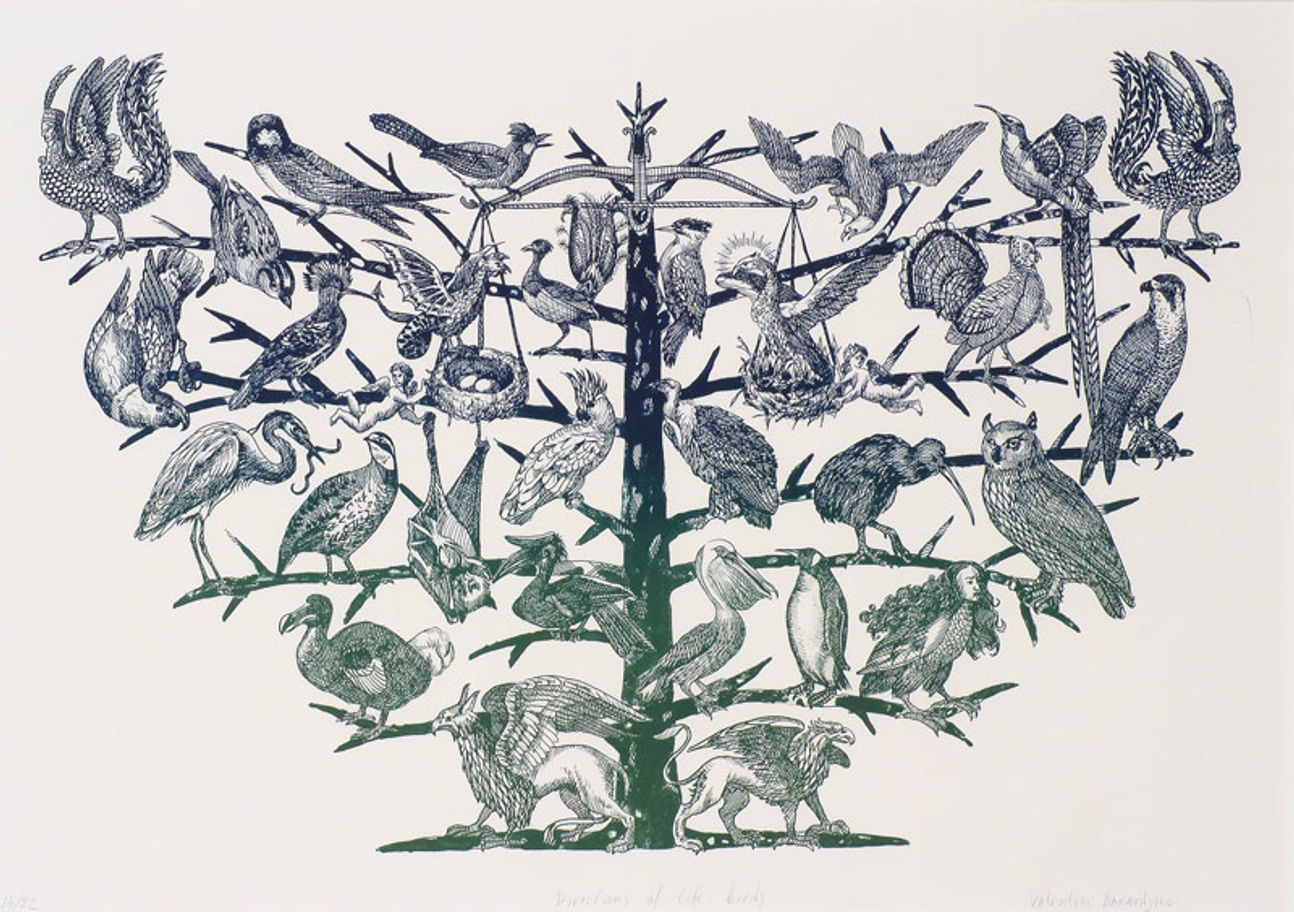 Directions of Life - Birds