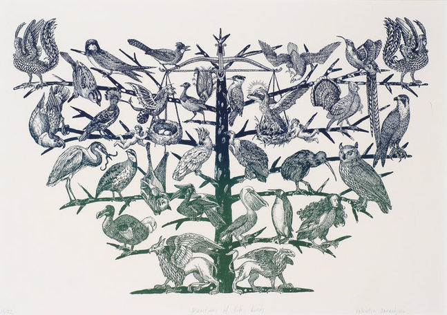 Directions of Life - Birds