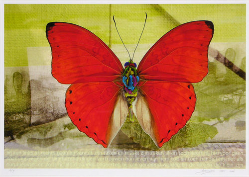 Vlinder III