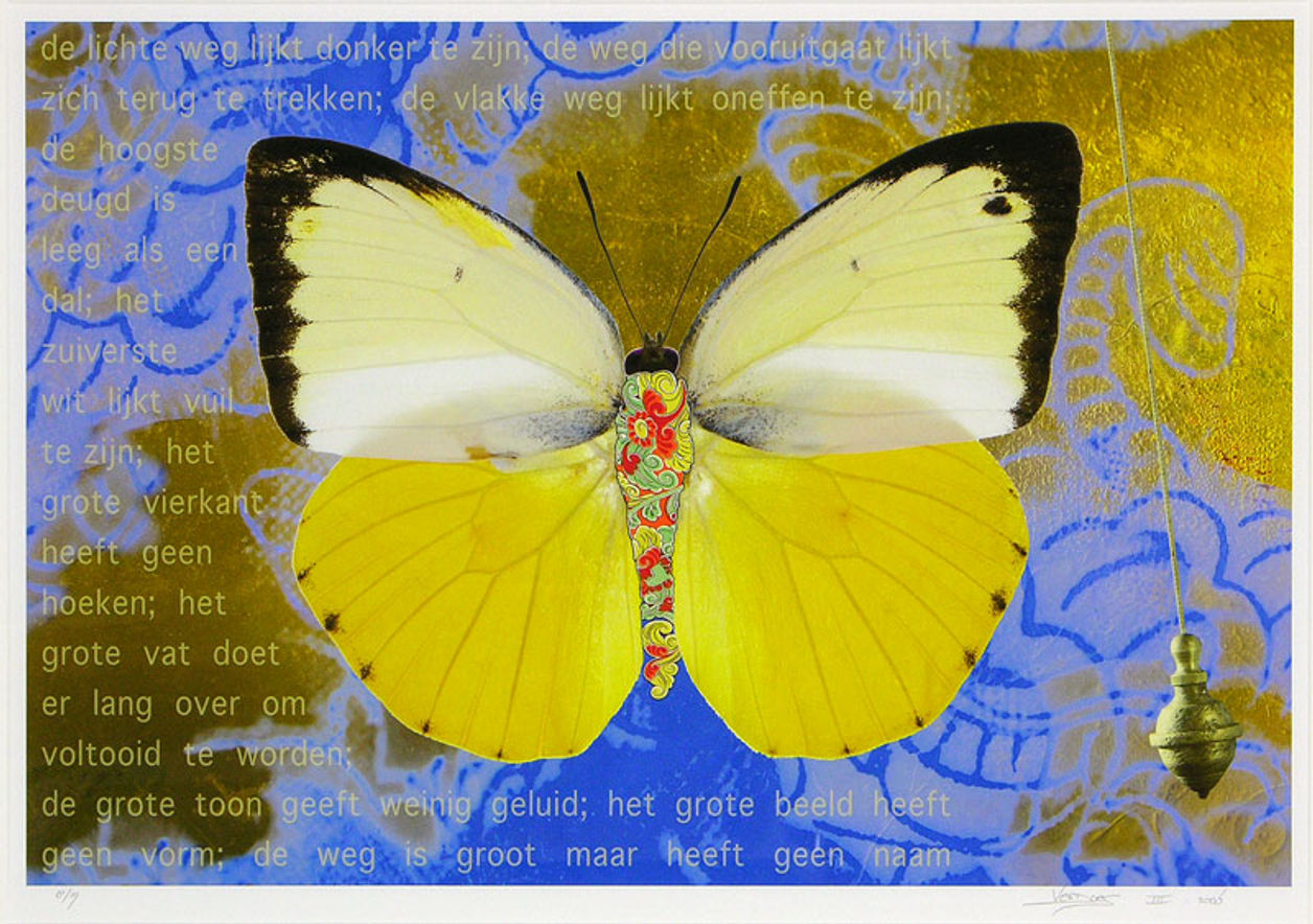 Vlinder IV