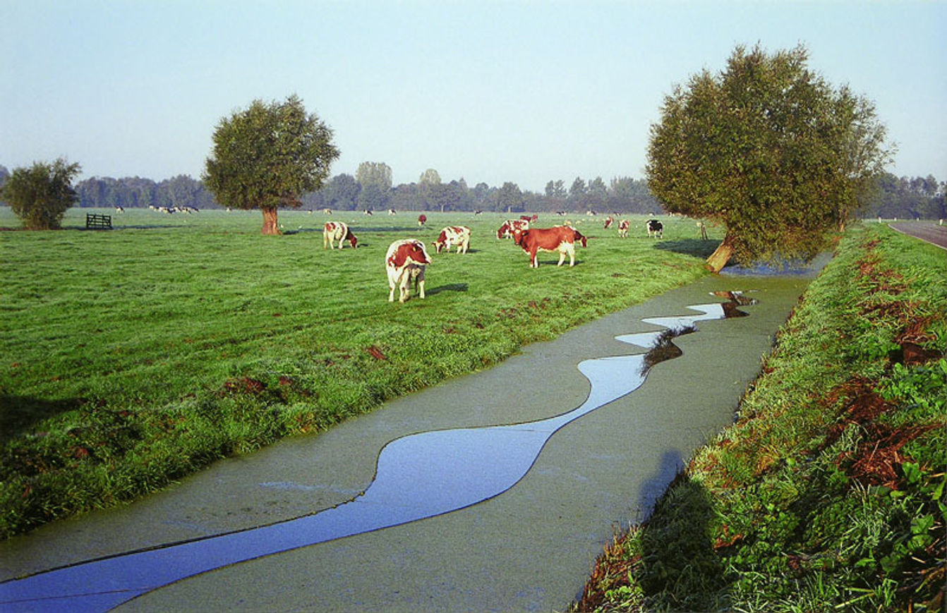 Meander 1