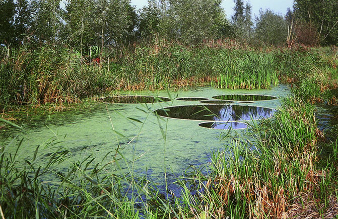 Waterspiegels