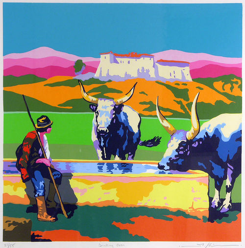 Drinking Oxen