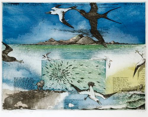 Ascension Island Wildlife