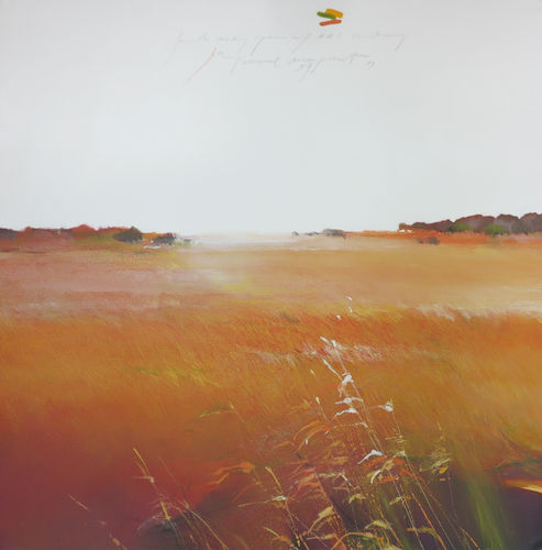 Personal Viewpoint 37 S0805