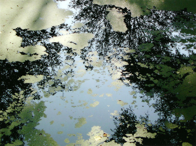 Waterspiegeling I
