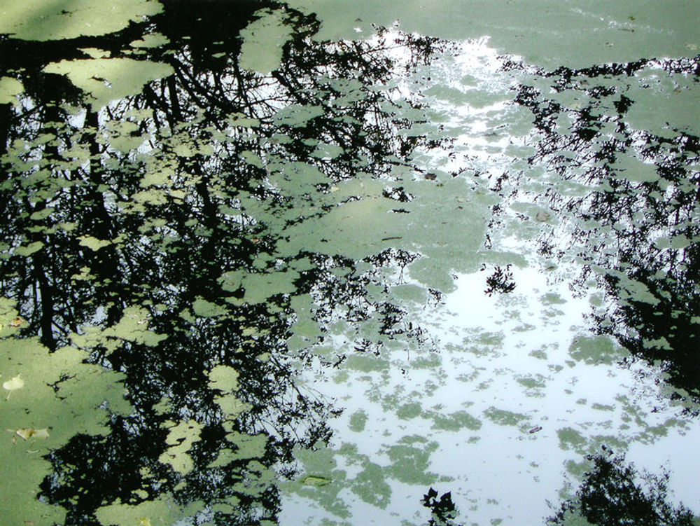 Waterspiegeling II