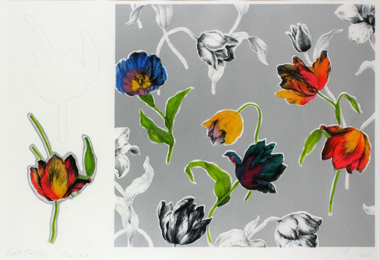 Cut tulips