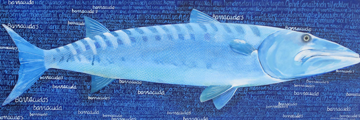 Barracuda