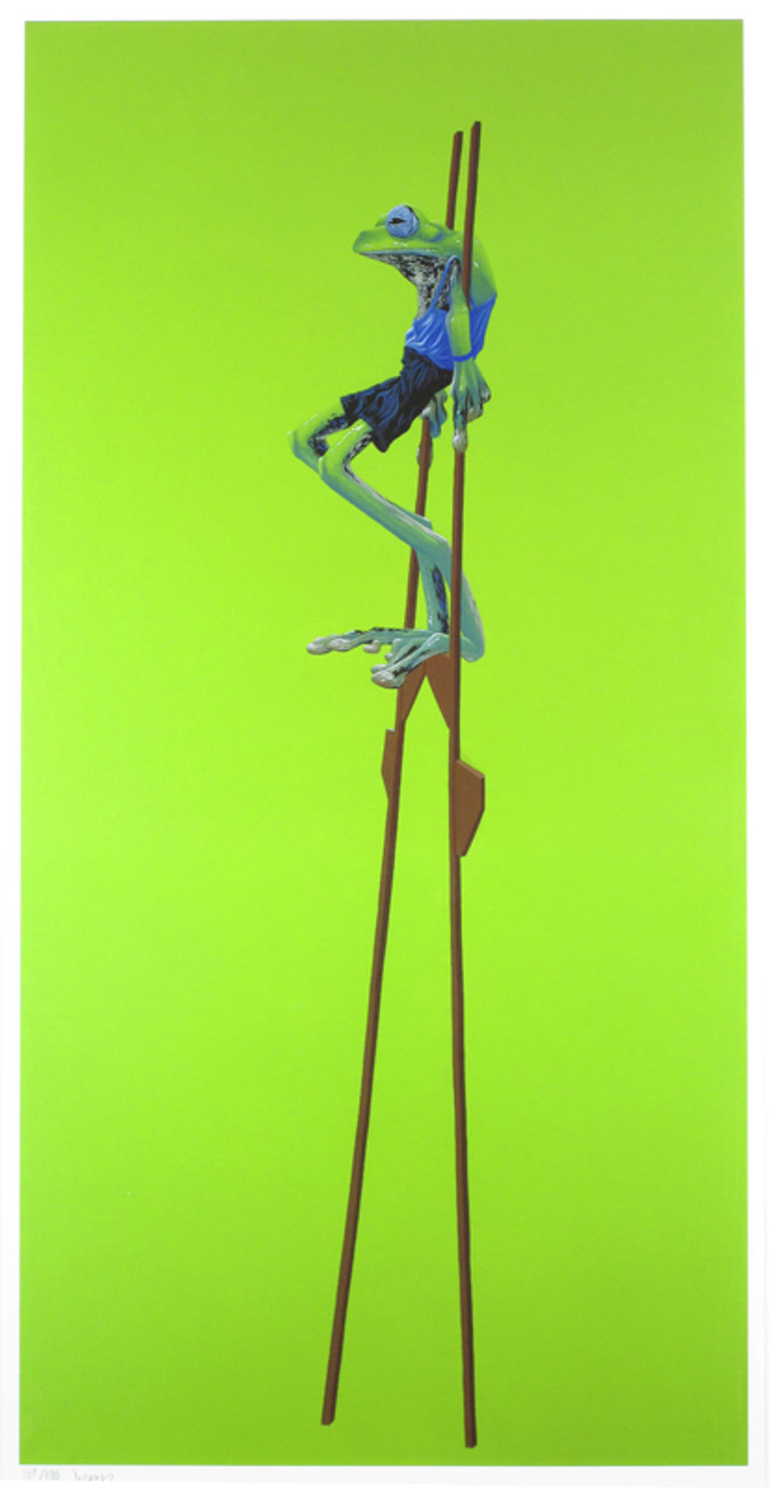 Rhacophorus nigropalmatus