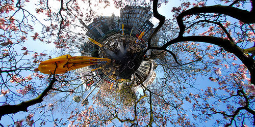 Rembrandtplein magnolia