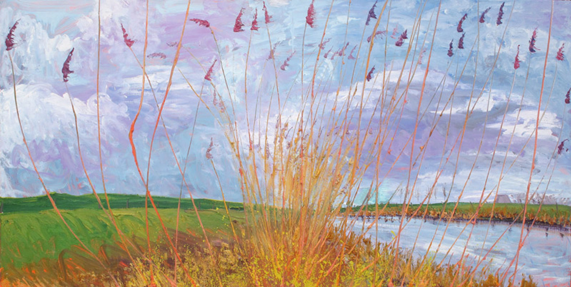 Groot riet b