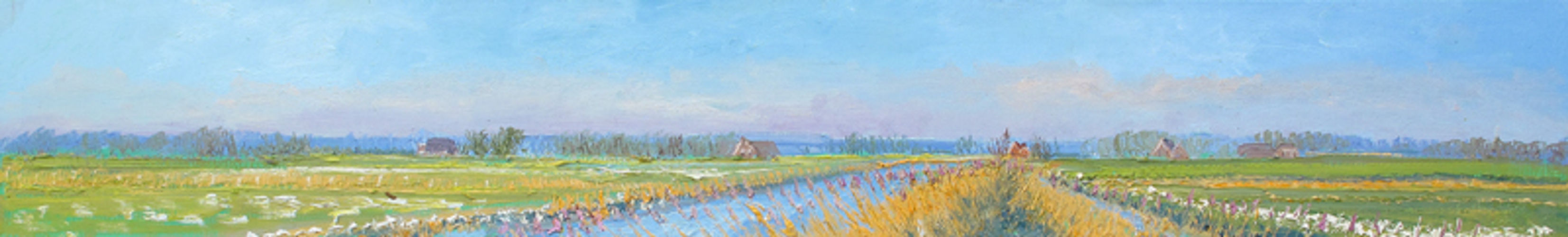 Riet in Winsumermeeden