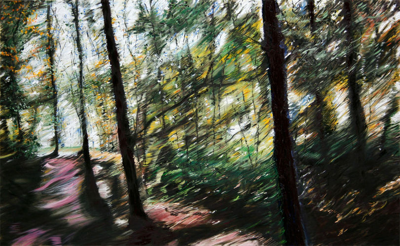 8 Bomen Bos Beek