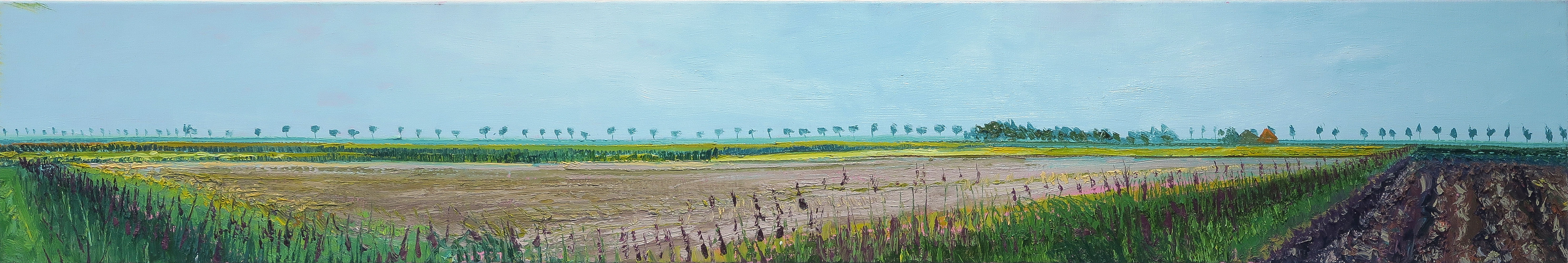 Polder Westernieland