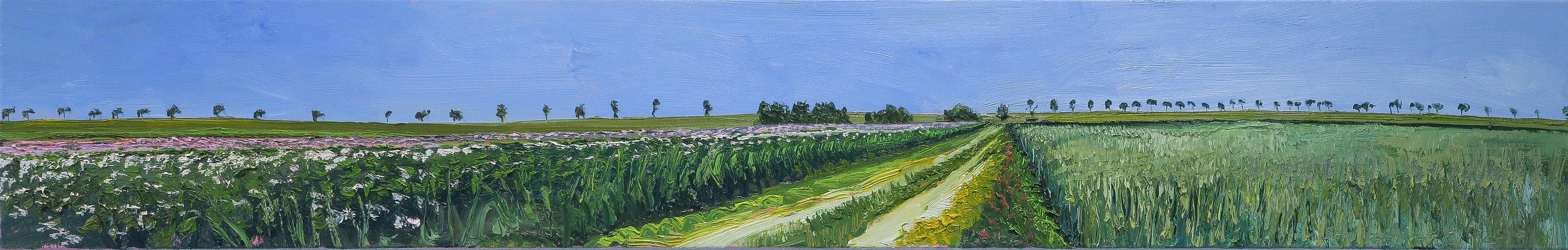 Bloeiend aardappelveld