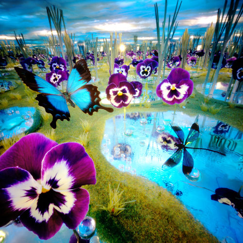 Violen water