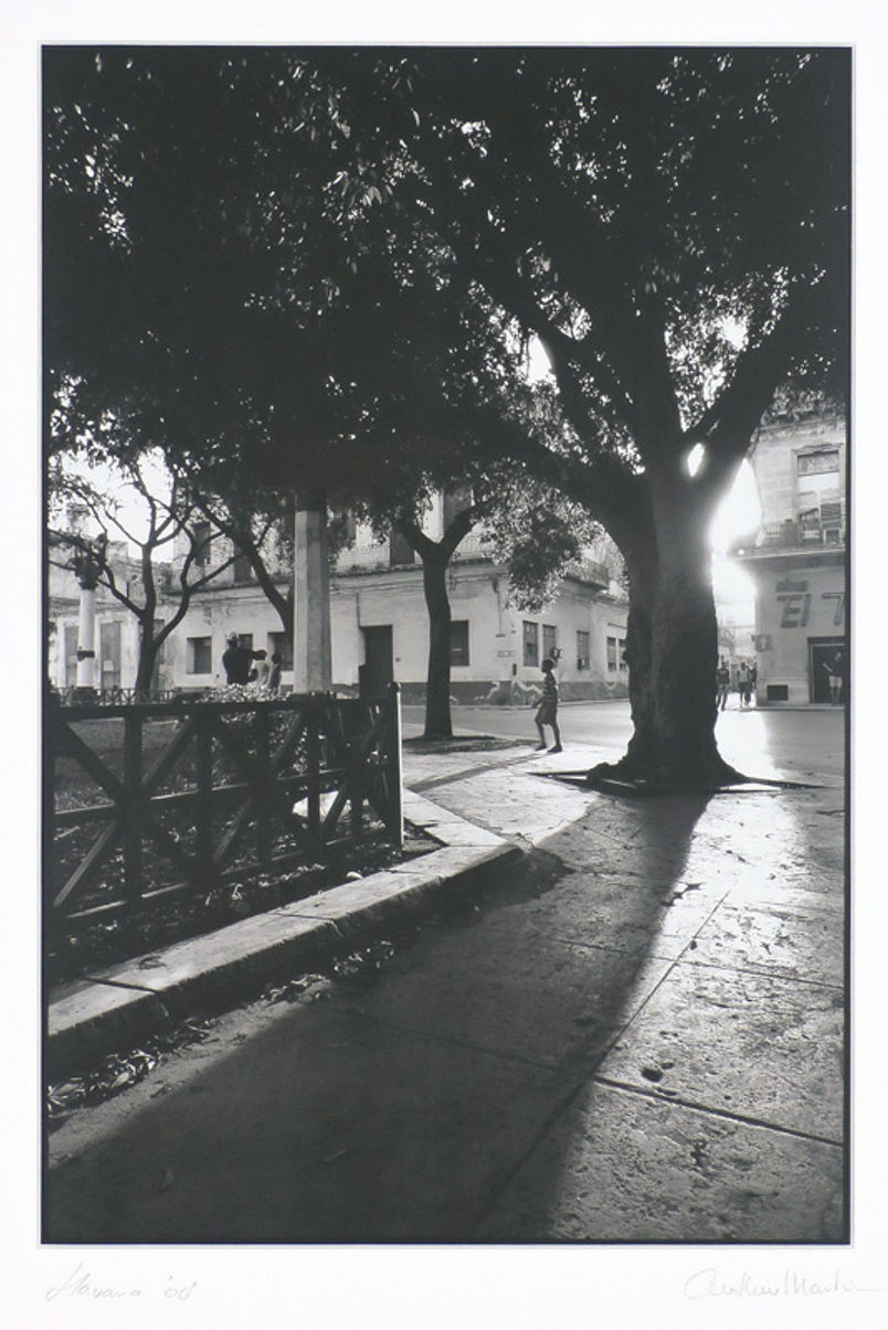 San Martin