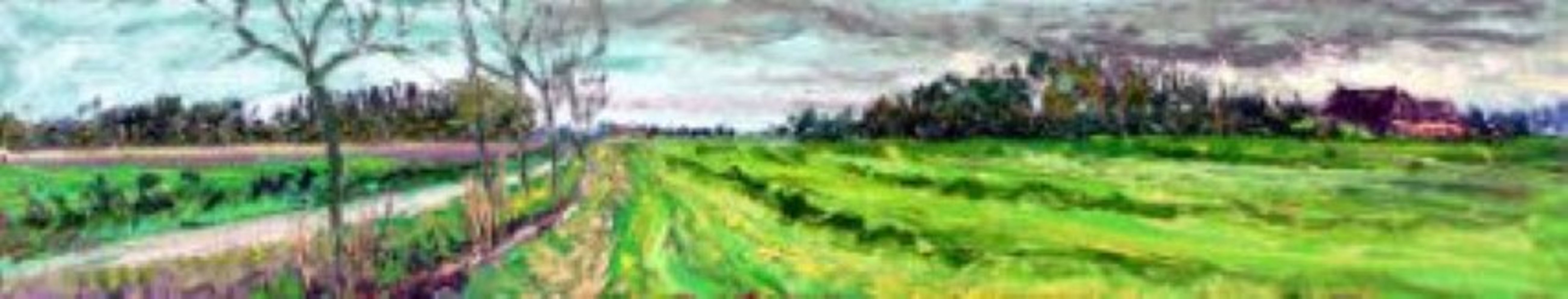 Gemaaid veld met laan
