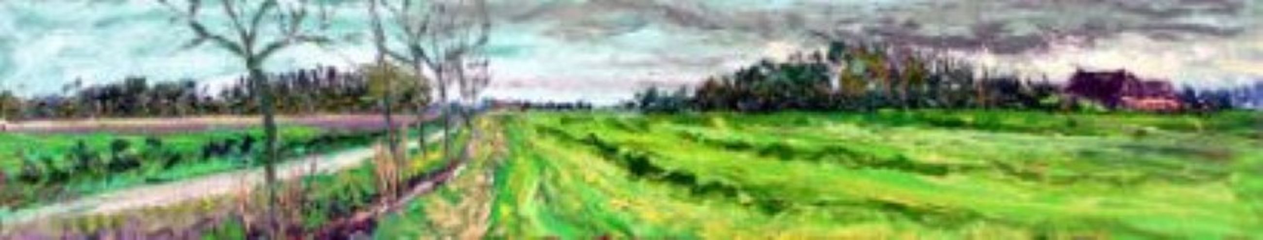 Gemaaid veld met laan