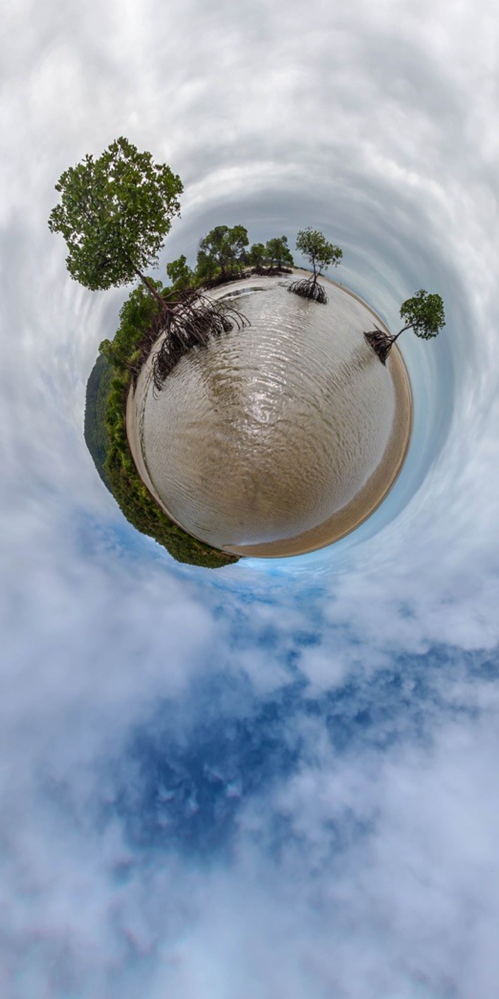Oak Beach Mangroves