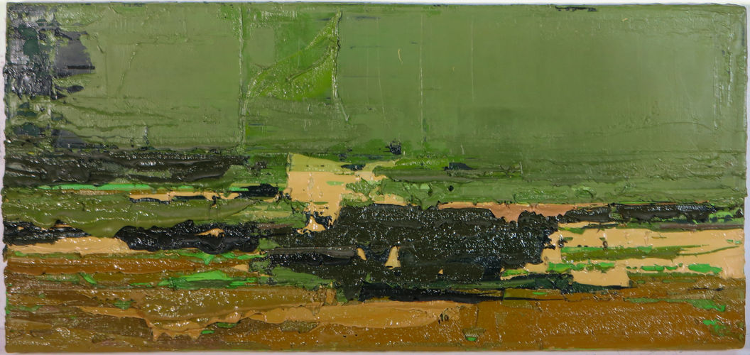 Swamp