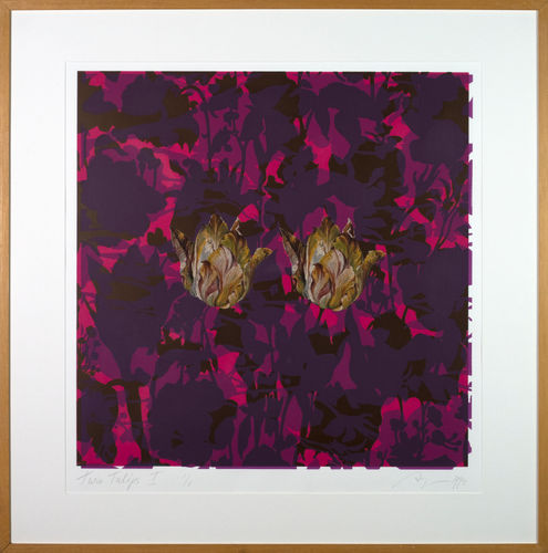 Twin tulips I