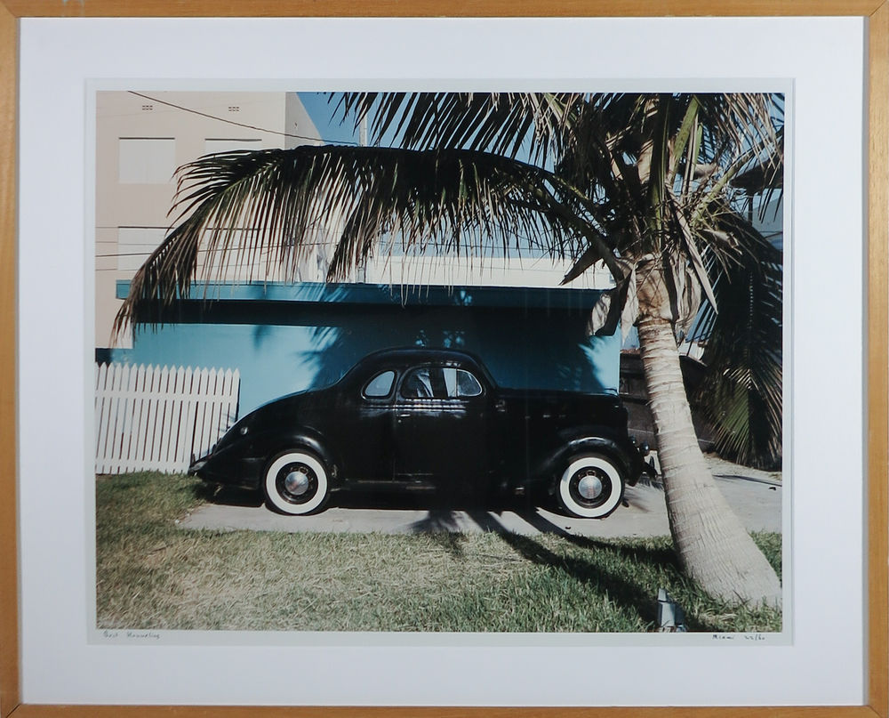 Miami auto palm