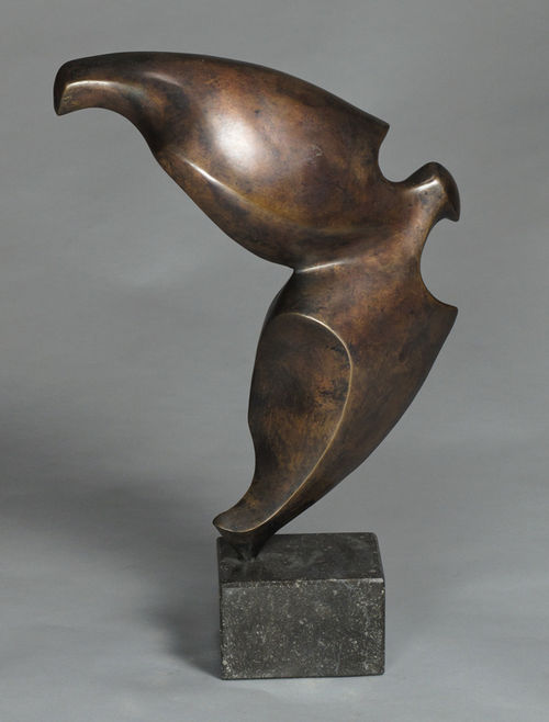 Vogelvlucht 133