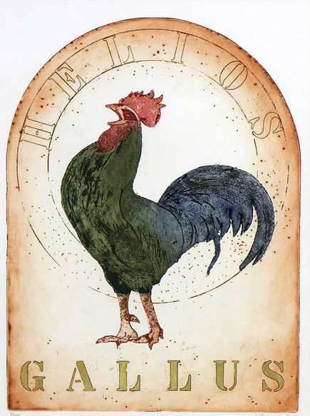 Gallus 3/10