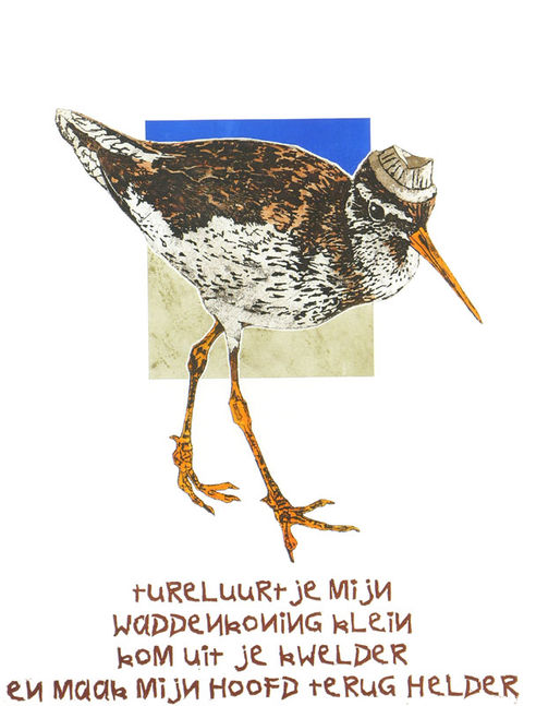 Tureluurtje mijn 4/15