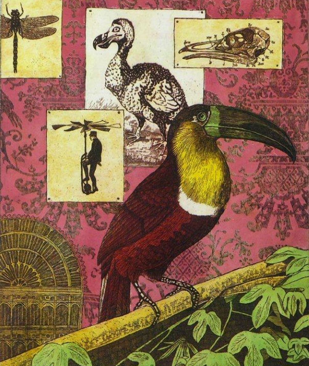 Interieur v.e. ornitholoog