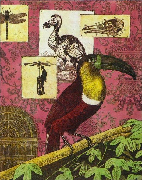 Interieur v.e. ornitholoog