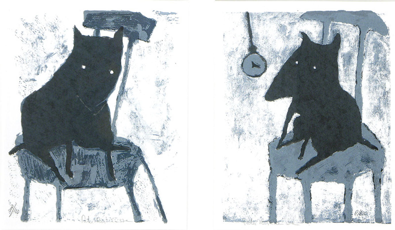 Dog zwart/wit