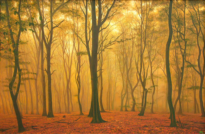 KF MK 04 Hollands landschap IV