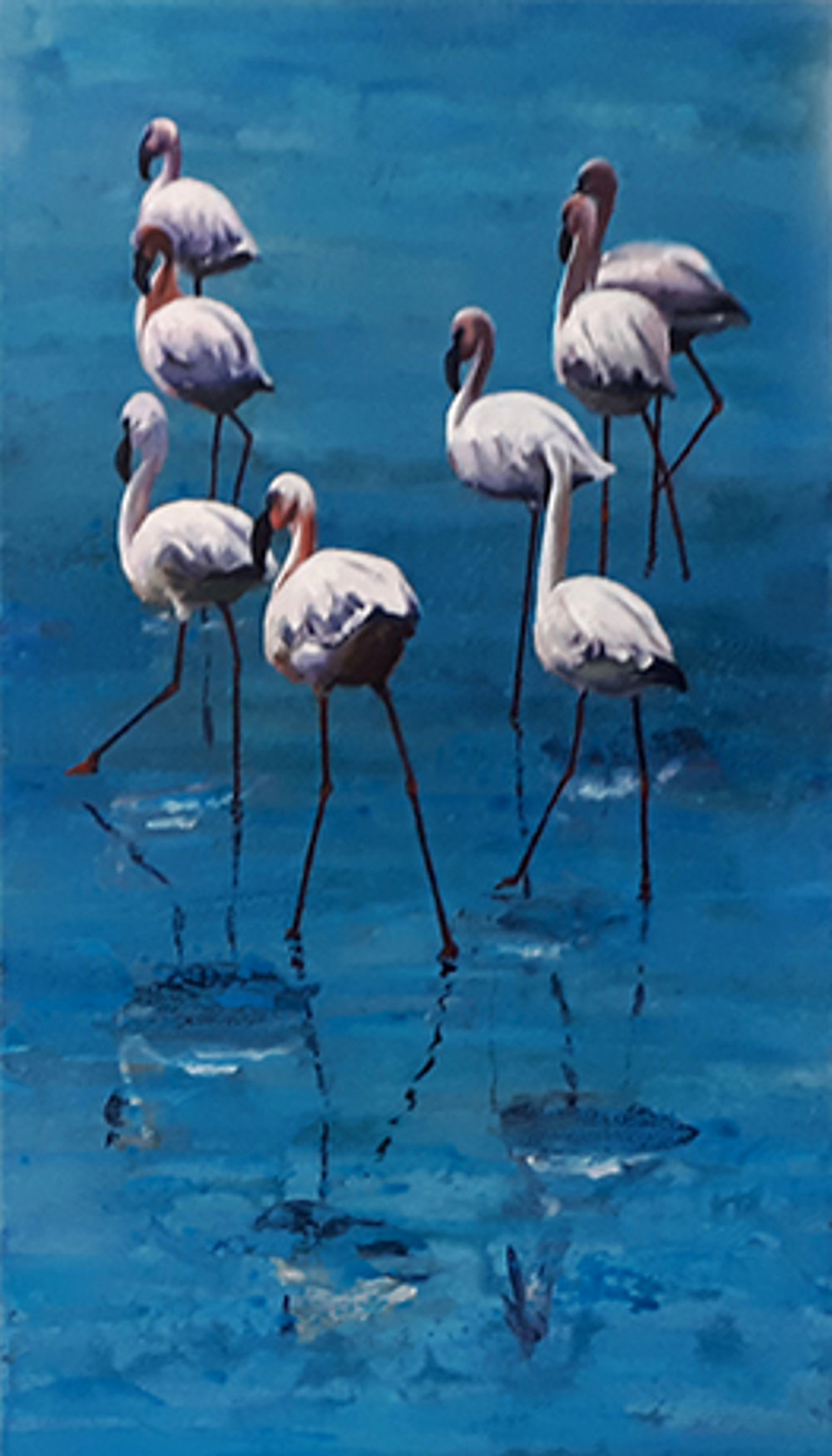 Flamingo's (tweeluikII)